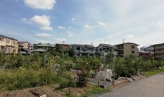 シェア畑 教室 2