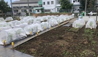 シェア畑 教室 3