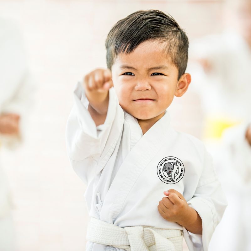 カラテキッズの紹介