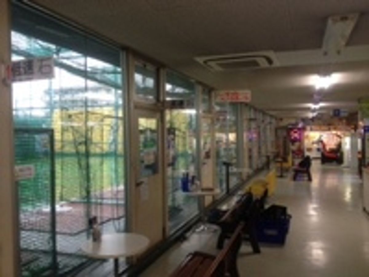 ジュニアバッティングスクール JBS 大和校2