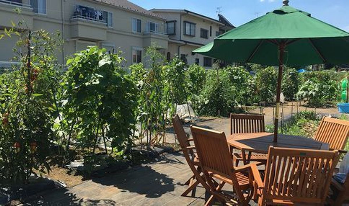 シェア畑 桜新町13