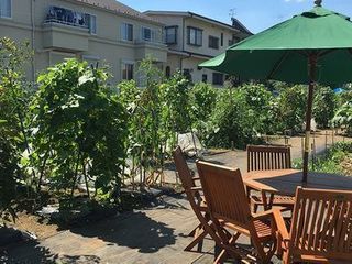 シェア畑 桜新町13