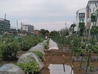 シェア畑 教室 3