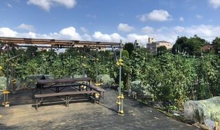 シェア畑 教室 3