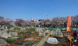 シェア畑 教室 1