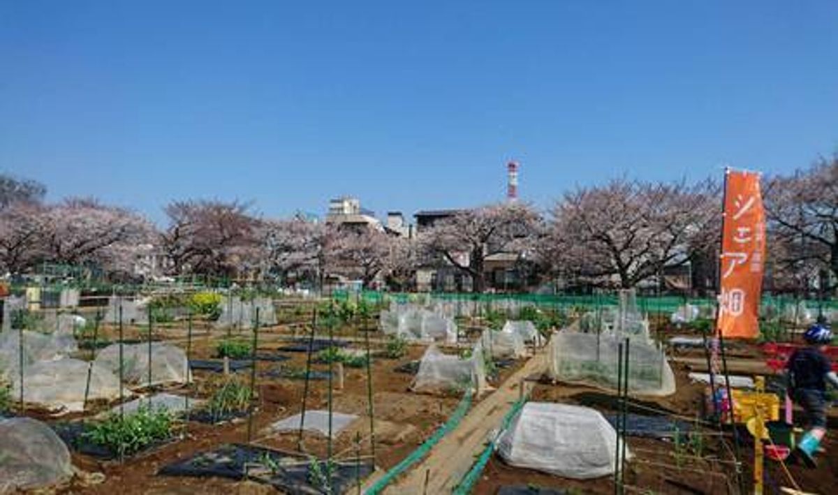 シェア畑 さいたま与野2