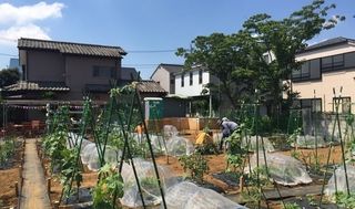 シェア畑 教室 3