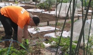 シェア畑 浜田山11