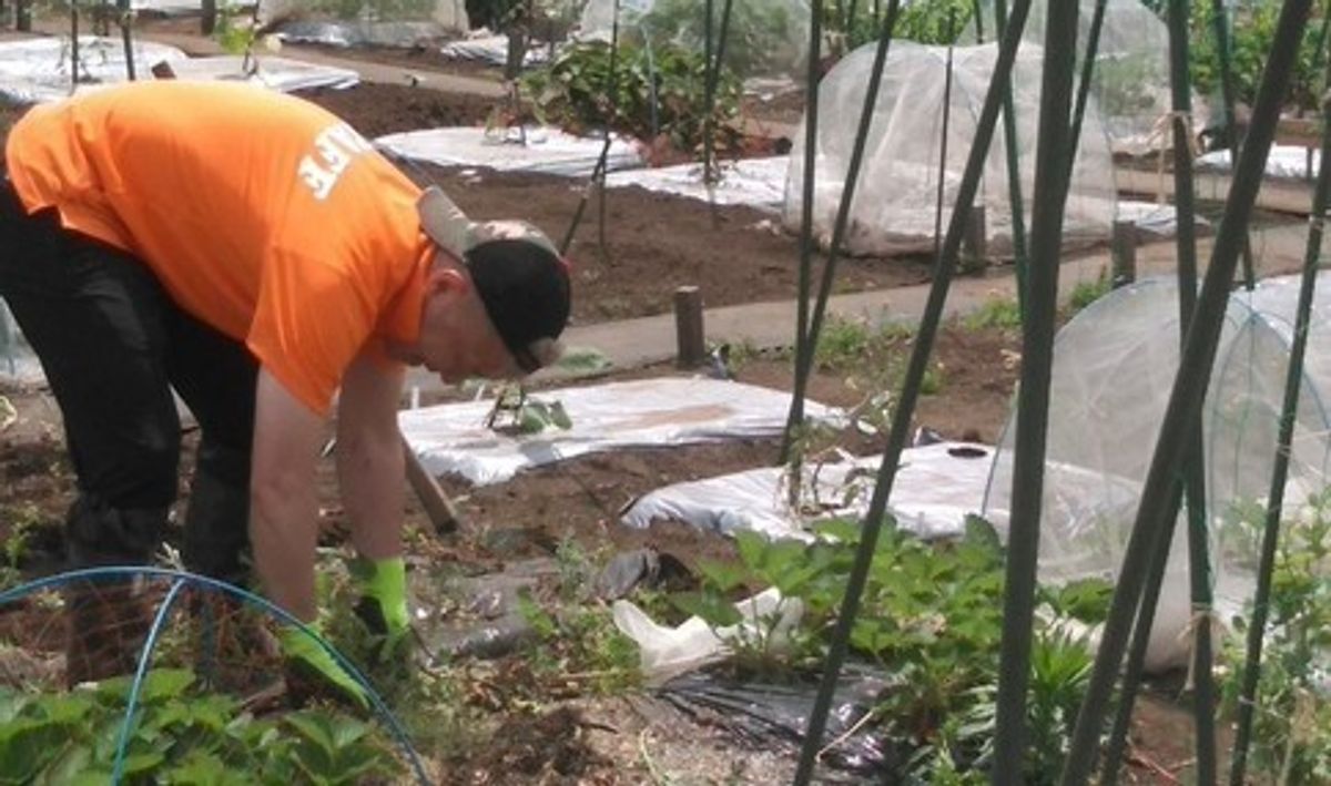 シェア畑 浜田山11