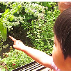 広尾駅 東京メトロ の幼児教室を一挙公開 子供の習い事口コミ検索サイト コドモブースター