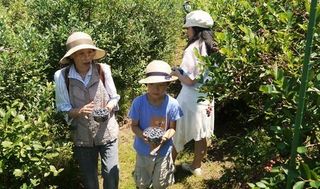 里山シェア大井松田8