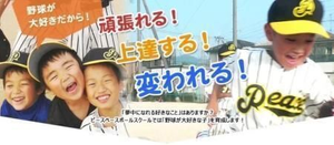 ピースベースボールスクール