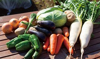 シェア畑 教室 1