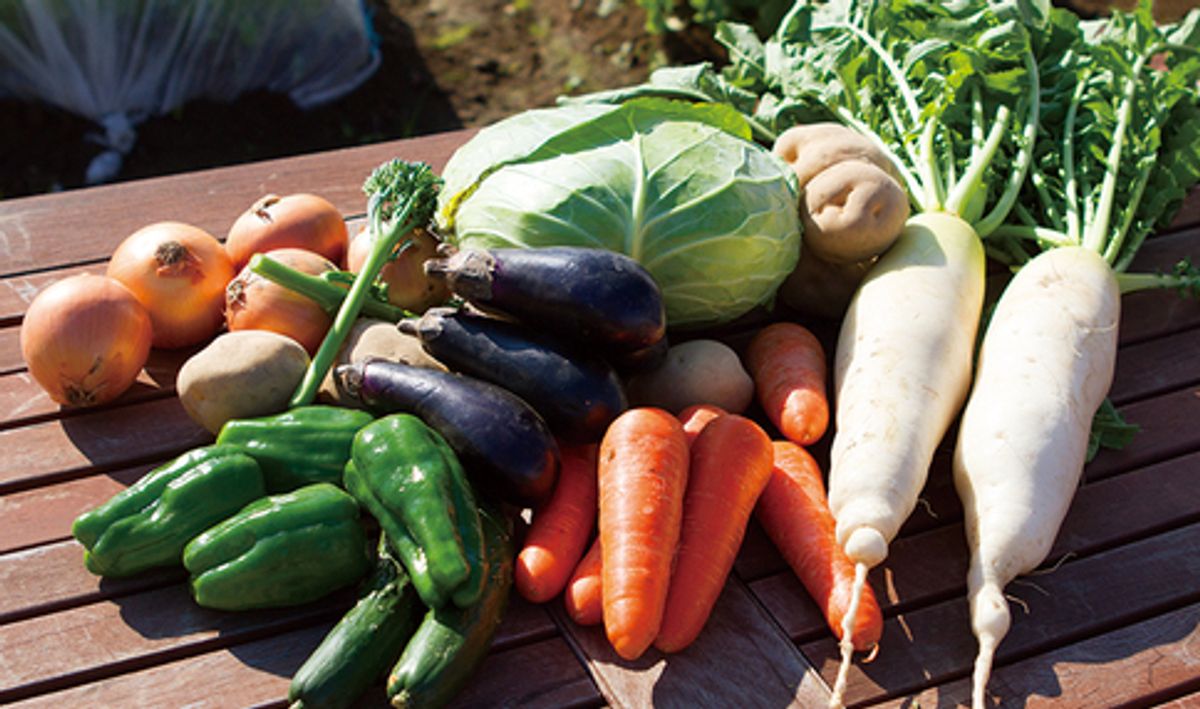 シェア畑 狛江2