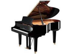 新響楽器　ピアノ教室 ミューズ尼崎の紹介