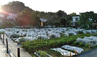 シェア畑 教室 3