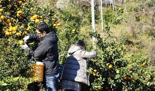 里山シェア大井松田9