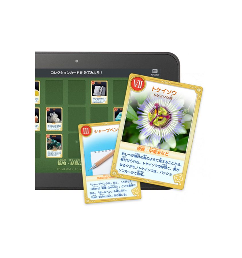 スマイルゼミ 小学生コース8