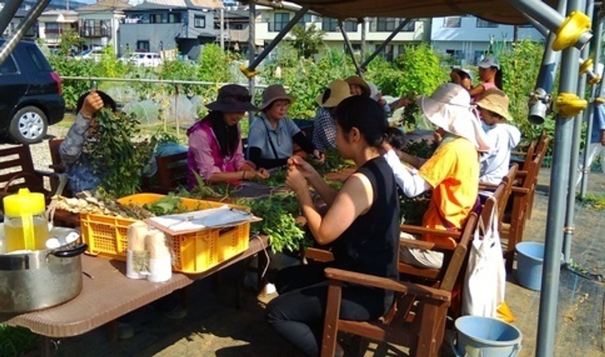 シェア畑 さいたま与野15