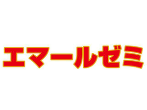 エマールゼミ