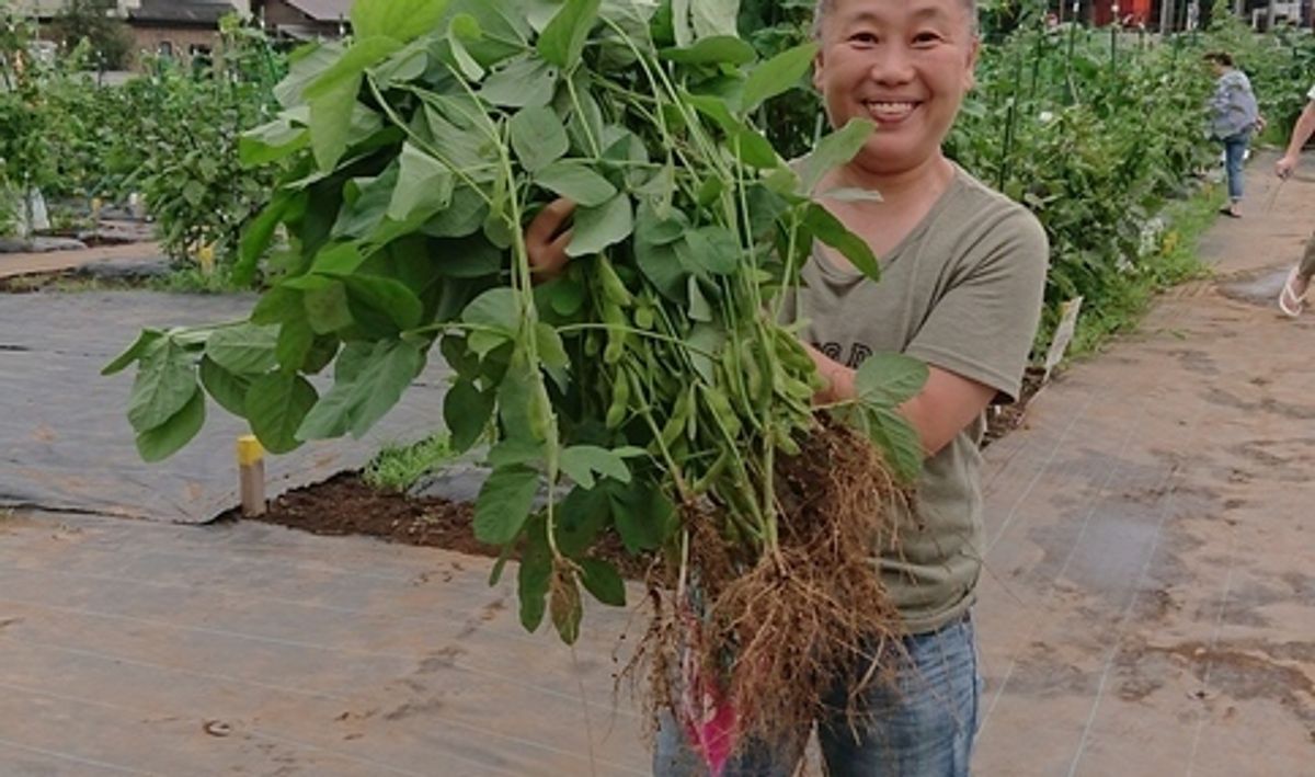 シェア畑 蕨イーストファーム7