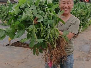 シェア畑 蕨イーストファーム7