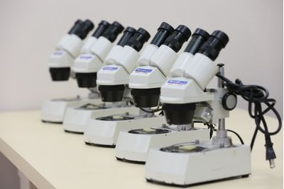 ベネッセサイエンス教室 たまプラーザ教室のサイエンス教室 - 小学6年生コース