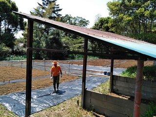 シェア畑 二俣川7