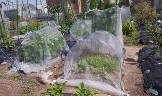 シェア畑 体験農園 教室 2