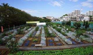 シェア畑 教室 1