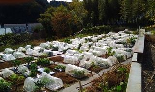 シェア畑 戸塚名瀬2