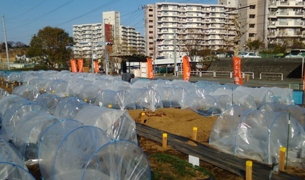 シェア畑 港南台2