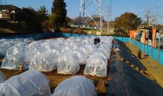 シェア畑 教室 2