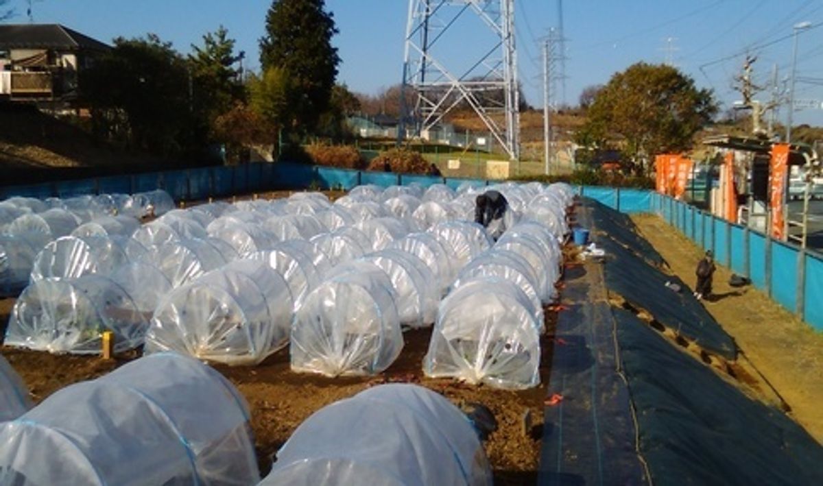 シェア畑 港南台3