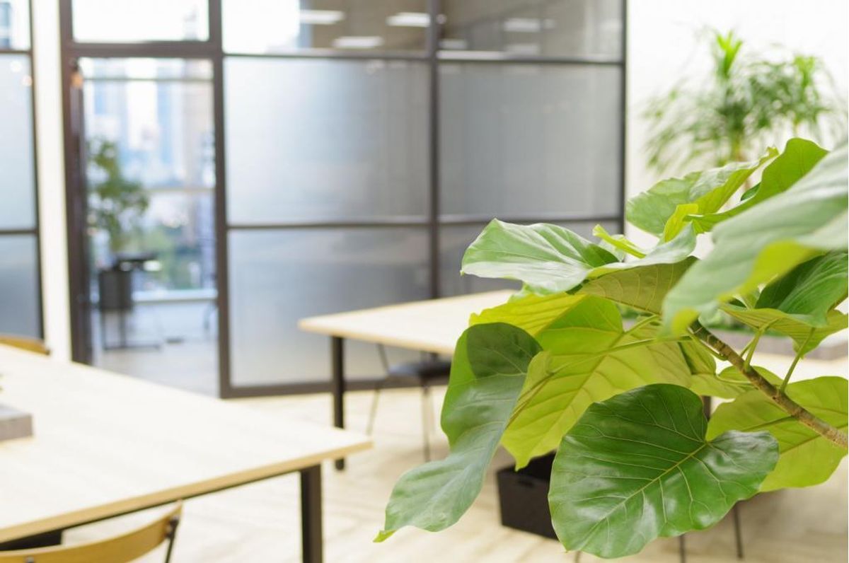 ＥＮＧＬＩＳＨ　ＣＯＭＰＡＮＹ　大学受験部 銀座スタジオ7