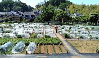 シェア畑 教室 1