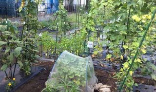 シェア畑 教室 4