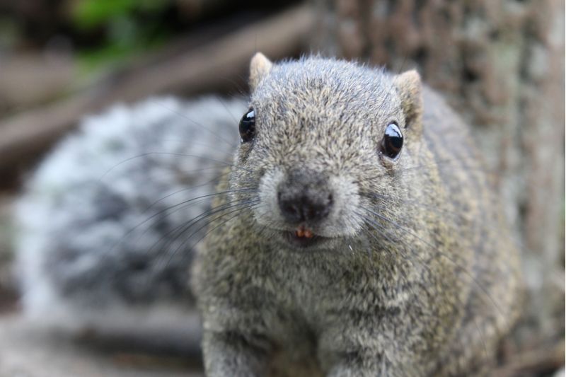 町田駅周辺の子供向けの習い事30選。幼児から通える習い事も!