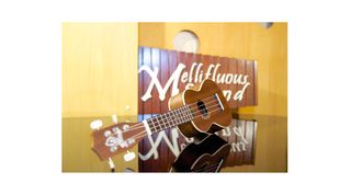 メリフラウズサウンド【ウクレレ】 教室 0