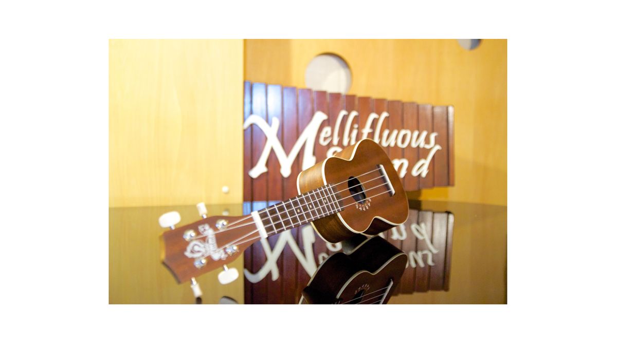 メリフラウズサウンド【ウクレレ】 教室 0