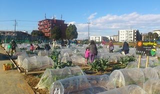 シェア畑 教室 2