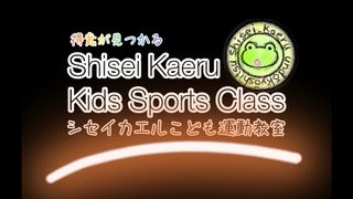 Shisei Kaeru Kids バク転・体操／アスレチック教室