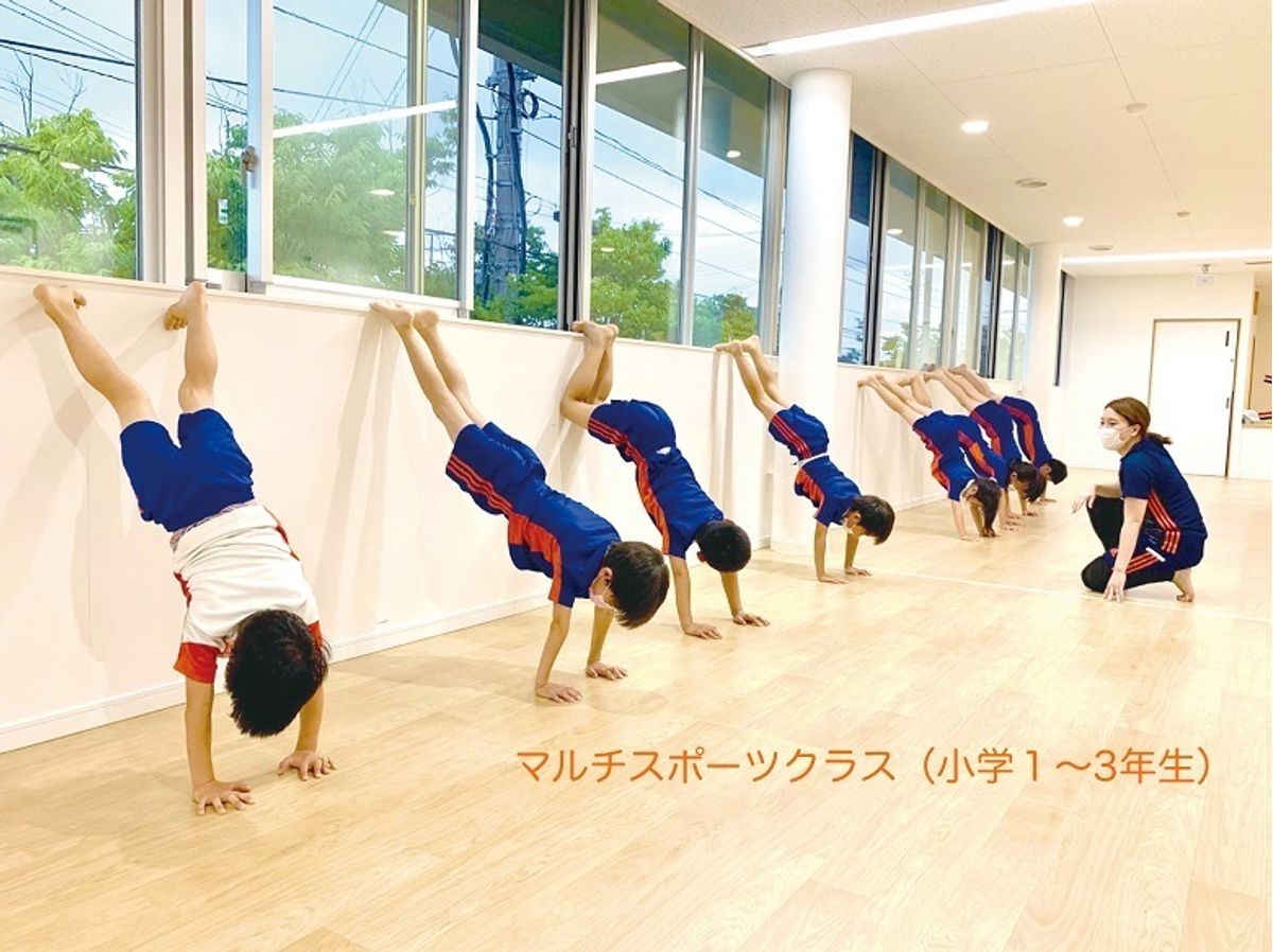 オールアルビレックス・スポーツクラブ 亀田校22