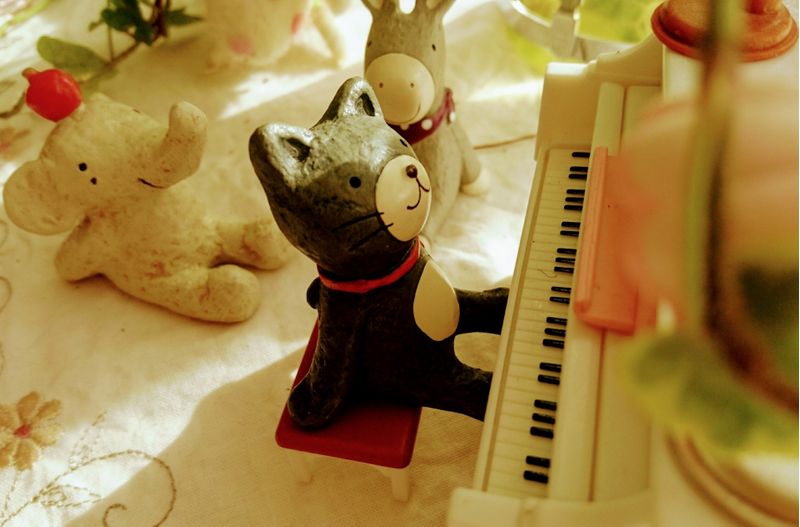 裾野市の子供向け習い事教室10選