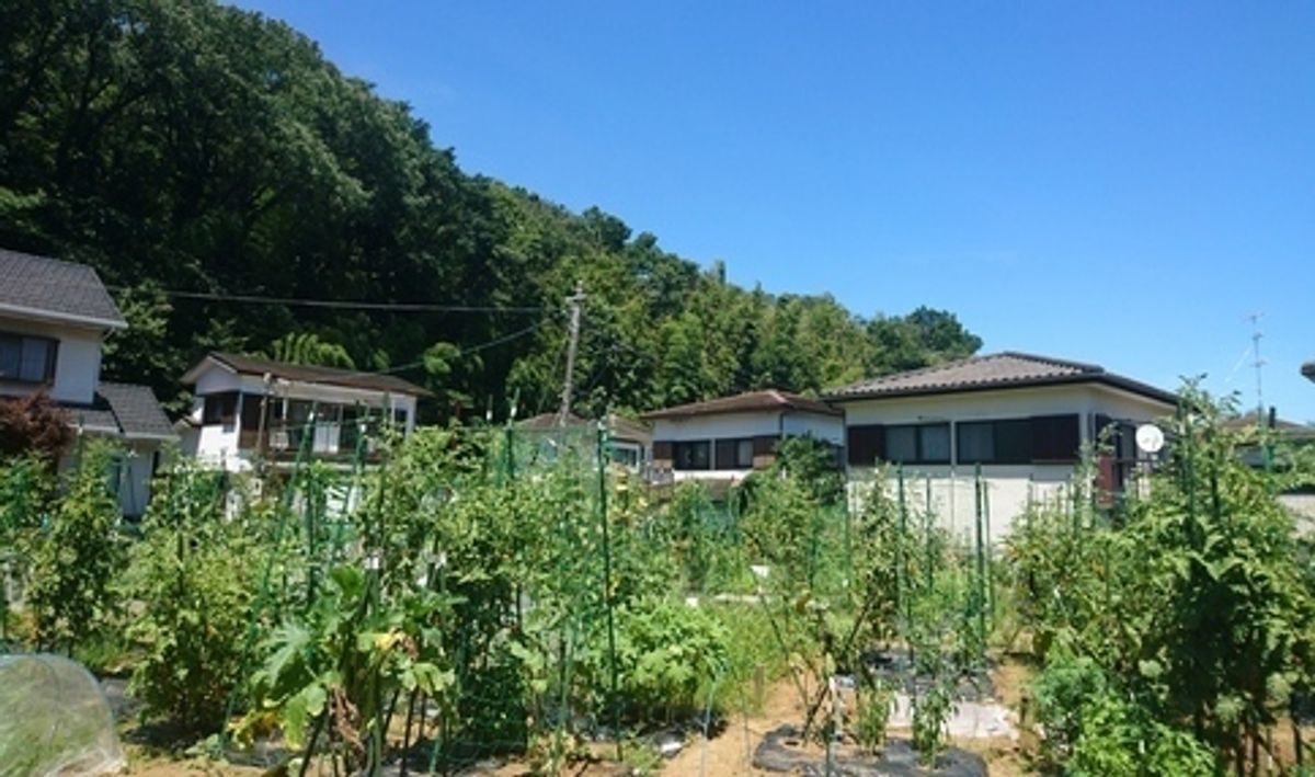 シェア畑 戸塚舞岡3