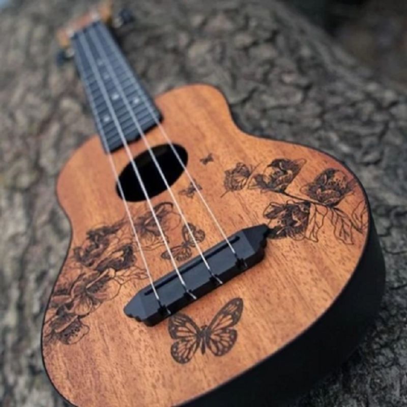 なだ音楽サロン【ウクレレ】の様子