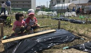 シェア畑 吹田岸部8