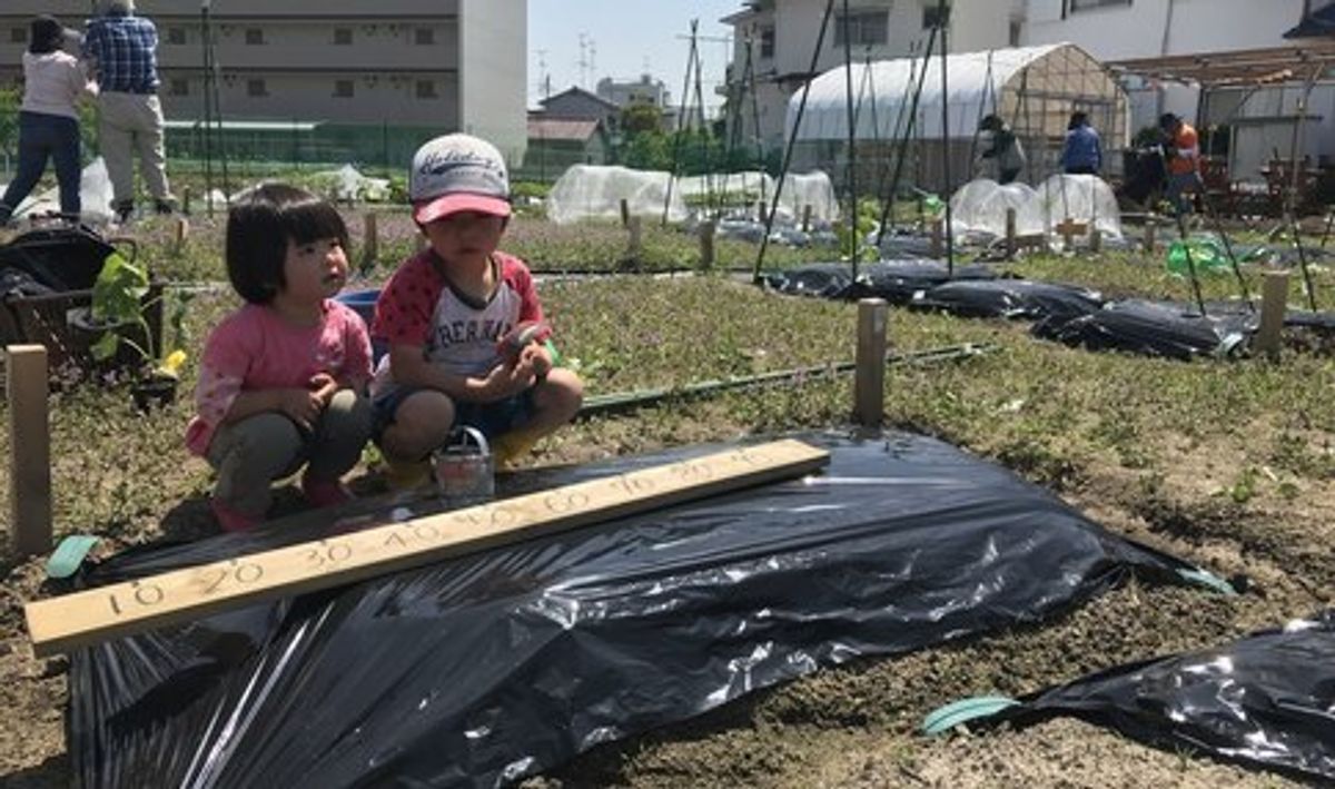 シェア畑 吹田岸部8