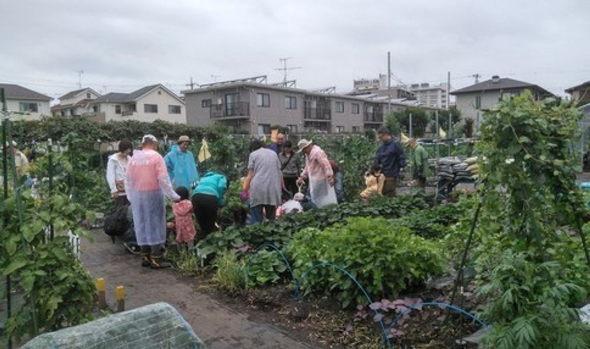 シェア畑 狛江5