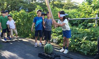 シェア畑 新百合ヶ丘8